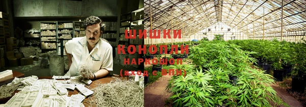 гашиш Белокуриха