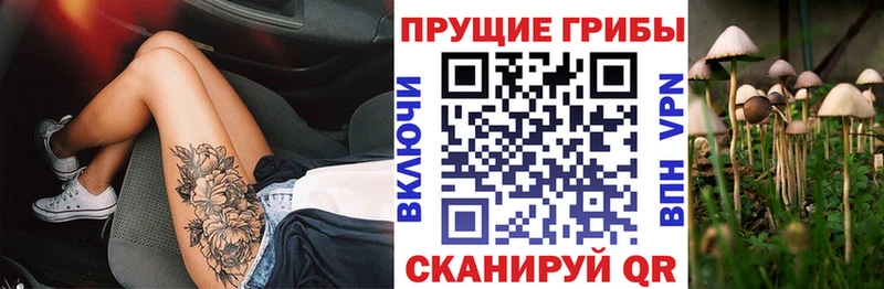 Псилоцибиновые грибы Cubensis  Елизово 